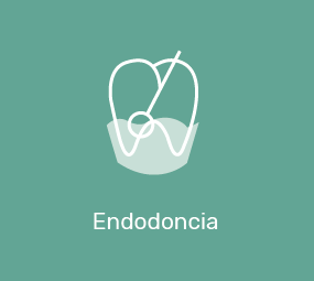 ENDODONCIA-06